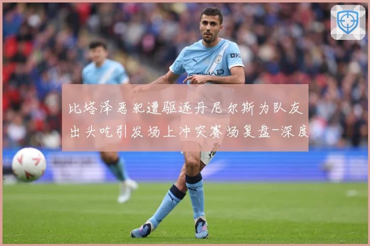 比塔泽恶犯遭驱逐丹尼尔斯为队友出头吃引发场上冲突赛场复盘-深度解析